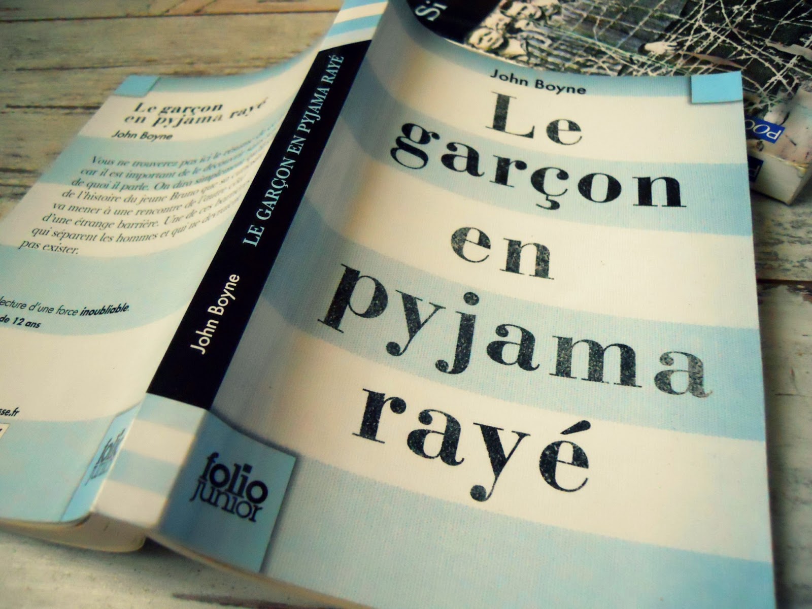 Le garçon en pyjama rayé questionnaire