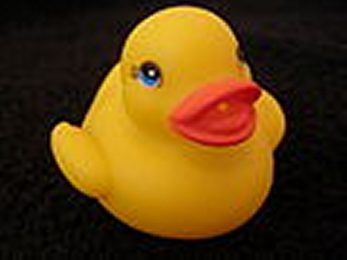 Chanson petit canard en pyjama