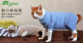 Pyjama pour chat