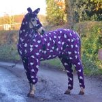 Pyjama cheval
