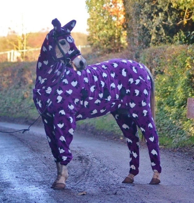 Pyjama cheval