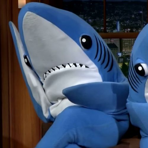 Requin pyjama