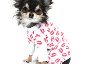 Pyjama chien pas cher