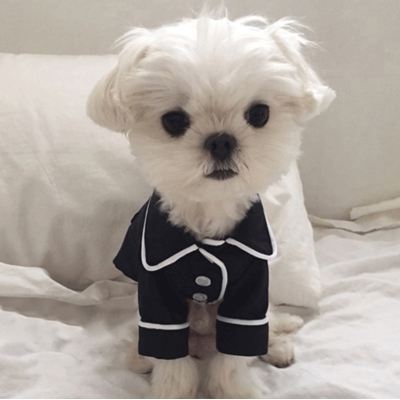 Pyjama pour chien